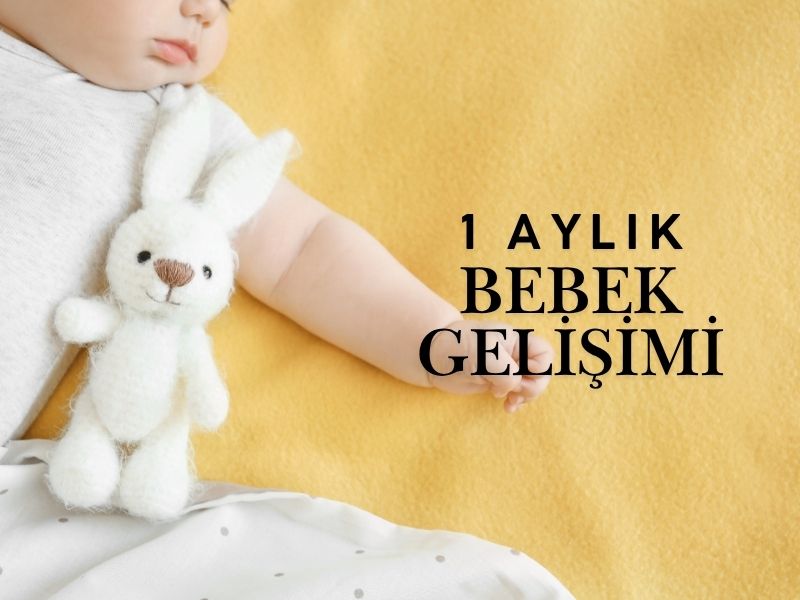 1 Aylık Bebek Gelişimi