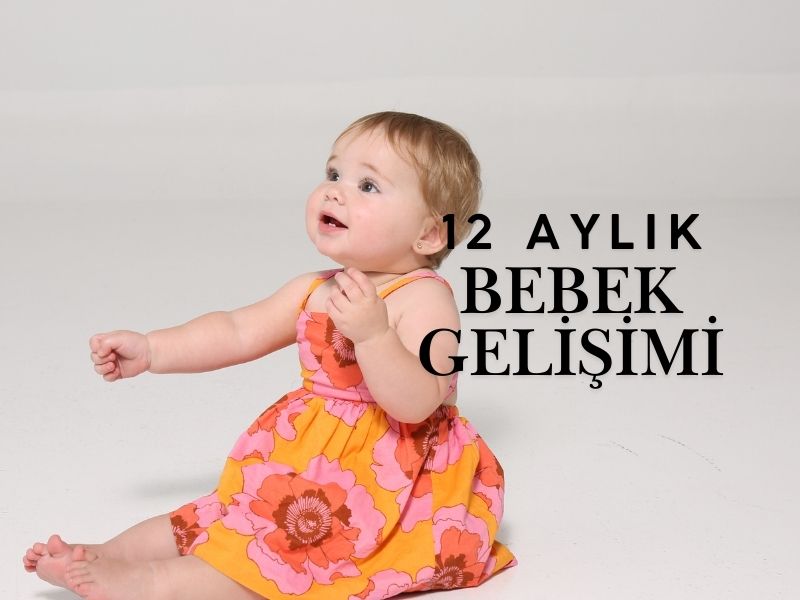 12 Aylık Bebek Gelişimi