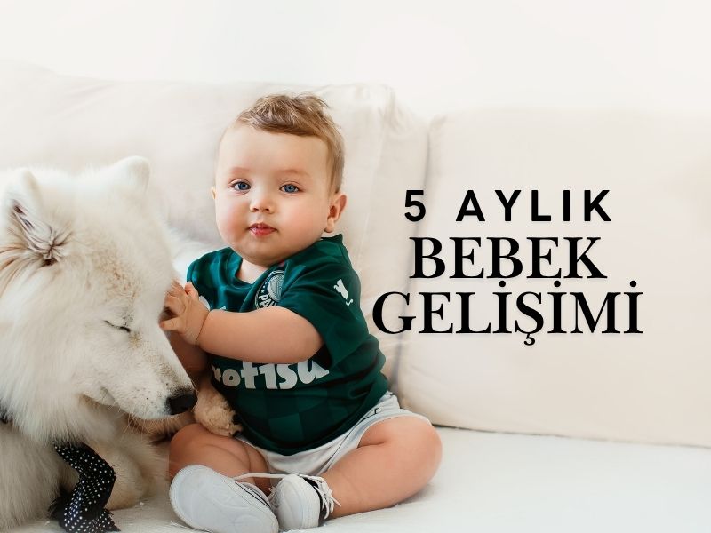 5 Aylık Bebek Gelişimi
