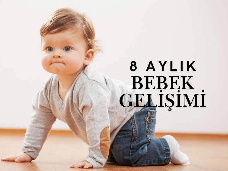 8 Aylık Bebek Gelişimi